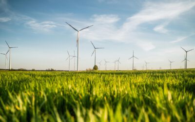 Ökologische Gegenleistungen: Energieinvestitionen als Voraussetzung für Beihilfen und Compliance