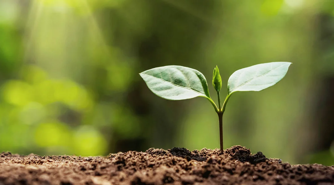 Neuer EU-Leitfaden für freiwillige Nachhaltigkeitsberichte: VSME Standard soll Berichterstattung vereinfachen