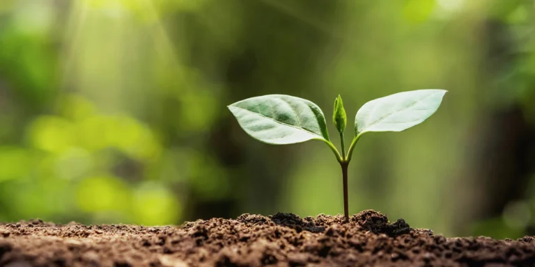 VSME Standard Nachhaltigkeitsbericht