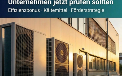 BEG-Reform geplant: 5 % weniger Förderung für Wärmepumpen und strengere Anforderungen an Kältemittel?